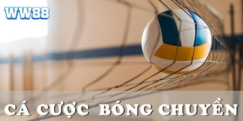 Cá Cược Bóng Chuyền WW88 - Bí Quyết Chinh Phục Kèo Thể Thao Cá Cược Bóng Chuyền WW88 – Bí Quyết Chinh Phục Kèo Thể Thao